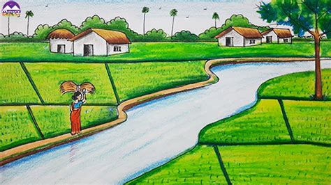 How To Draw Rice Field Scenery Drawing Easy Scenery Of Paddy Field