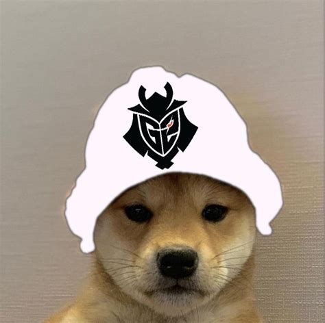G2 Esports Dogwifhat Dogwifhat Dog Icon Doge Meme Dog Images