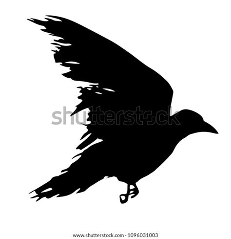 Black Silhouette Of A Raven Isolated On White Background Flying Crow