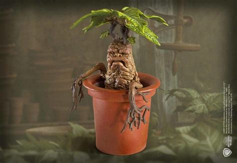 Harry Potter Plant Small Mandrake Mandrake Root Plant Sculpture Art