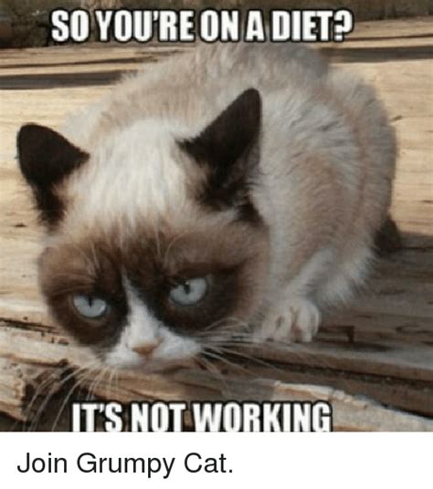 So Youre On A Diet Its Not Working Join Grumpy Cat Cats