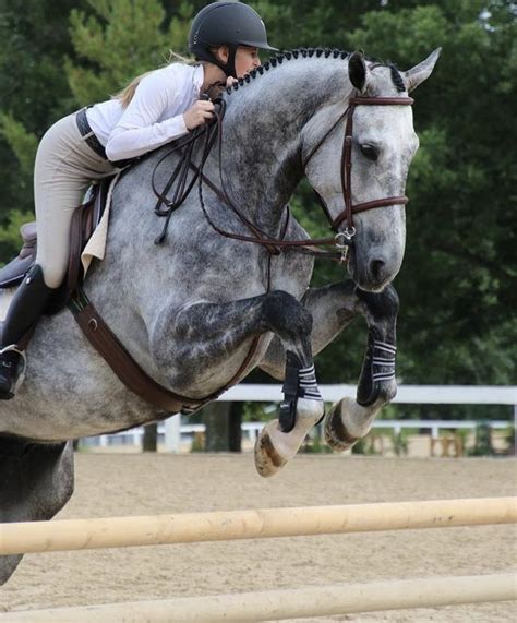 A Woman Riding On The Back Of A Gray Horse