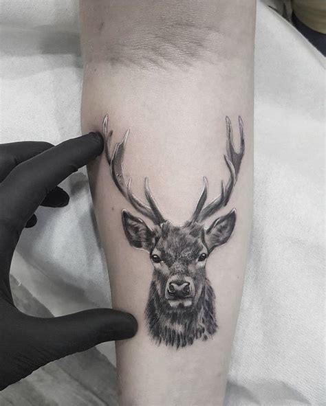 Deer Tattoo Stag Tattoo Deer Tattoo Deer Tattoo Designs