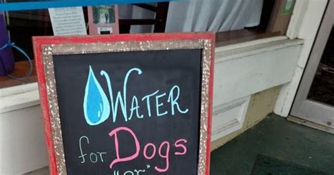 The best time to introduce water and puppy food is around 3 to 4 weeks of age. The Lonely Libertarian: Midget pit stops?