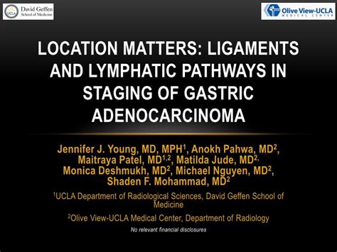 Pdf Location Matters Ligaments And Lymphatic · Location Matters
