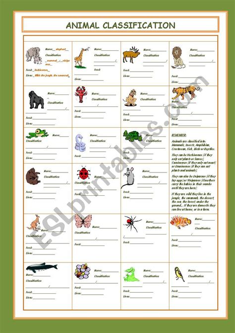 Animal Classification Esl Worksheet By Cristinasuma