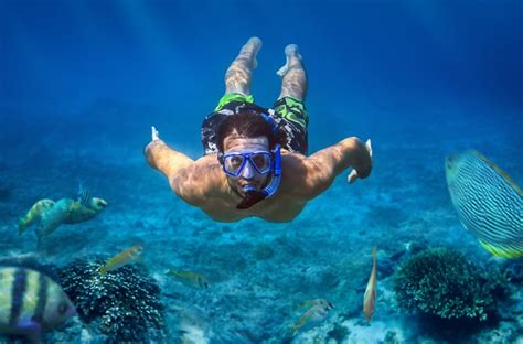 Honolulu Snorkel Tour Discover The Beauty Of Oahus Underwater World