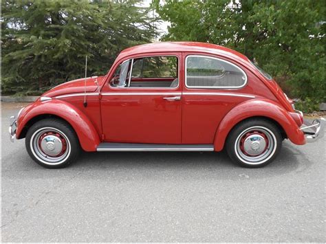 1966 Volkswagen Beetle For Sale Cc 1189868
