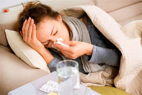 ¿conoces La Diferencia Entre Gripe Y Resfriado Común El Titular
