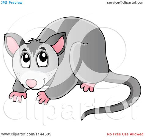 Cartoon Of A Cute Australian Possum Royalty Free Vector Clipart By