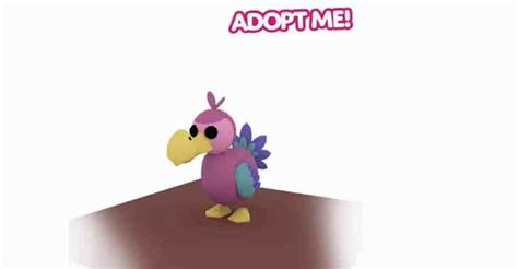 Adopt Me Dodo How Much Is Worth Player Assist Game Guides