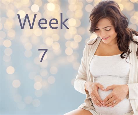 Zwangerschapskalender Week 7 Kidzlabnl