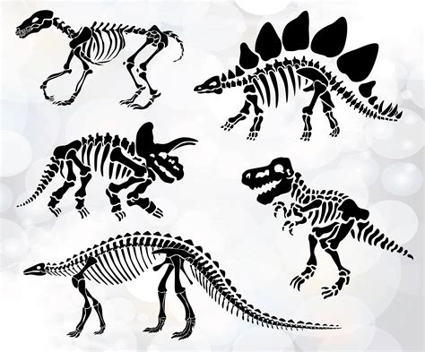 Dinosaur Skull Svg, Dinosaur Bone Svg, Tyrannosaurus Rex Svg, Dinosaur