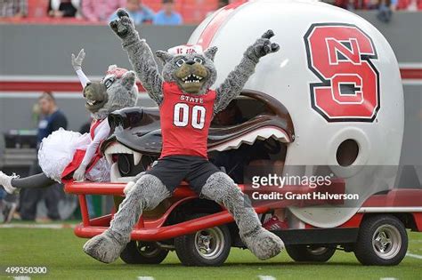 North Carolina State Wolfpack Mascots Mr Wuf And Miss Wuf Perform