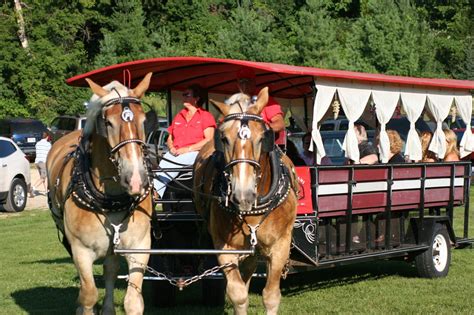 The Star Belgians Free Horse Drawn Wagon Rides Vino In The Valley