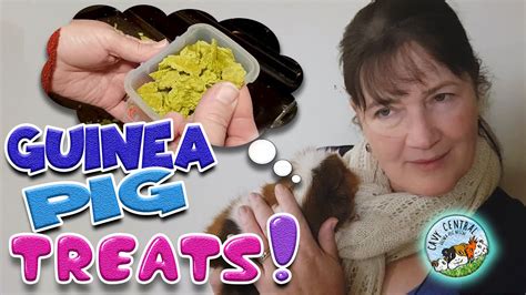 Diy Guinea Pig Treats And Pea Flakes The Easy Way 101 Treats For