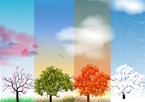 Tree With Four Seasons Vector Material 04 Free Download