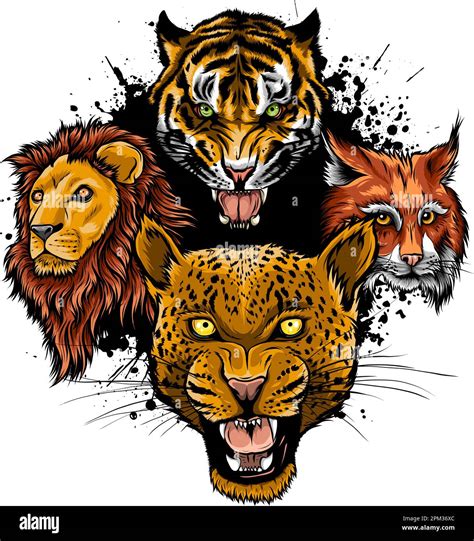Cartoon Big Cats Vector Set Illustration Of Cougar Jaguar Leopard Lion Tiger Cheetah Snow
