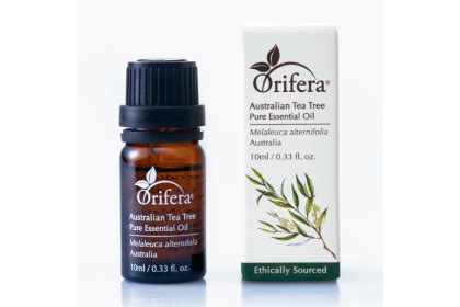 Australian Tea Tree Melaleuca Alternifolia Essential Oil