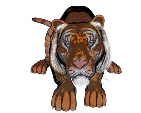 Tiger Pose 53 Of A Gazillion By Madetobeunique On Deviantart