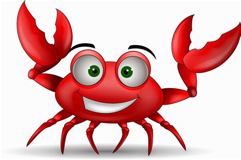 13 Things You Didnt Know About Crabs
