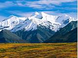 Best Places To Stay In Denali National Park Pictures