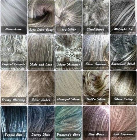 Silver Shades Hair Color Chart Silver Hair Color Grey Hair Color