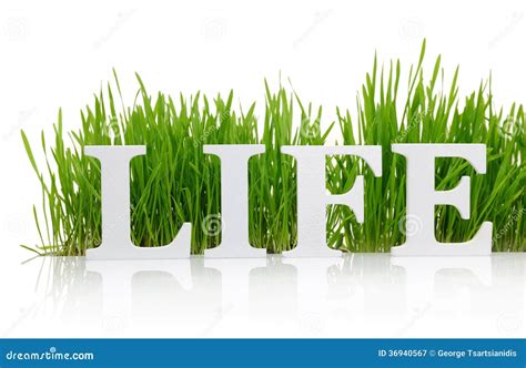 Word Life With Fresh Grass Stock Image Image Of Type 36940567