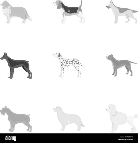 Dog Breeds Set Icons In Monochrome Style Big Collection Of Dog Breeds