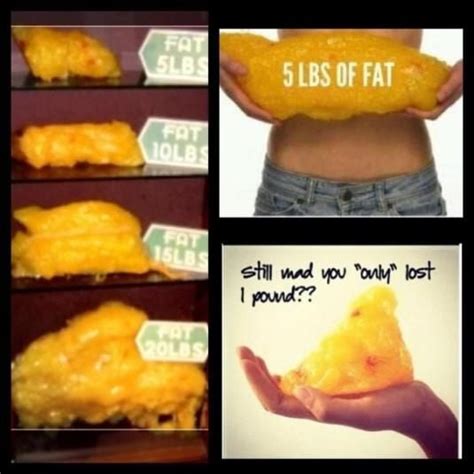 What 1lb 5lbs 10lbs 15lbs And 20lbs Of Fat Loss Looks Like In Fat