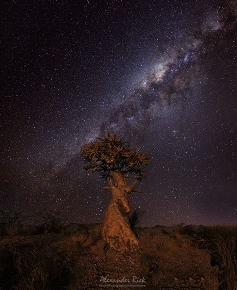 African Nights African Skies Night Landscape Night Sky Photography