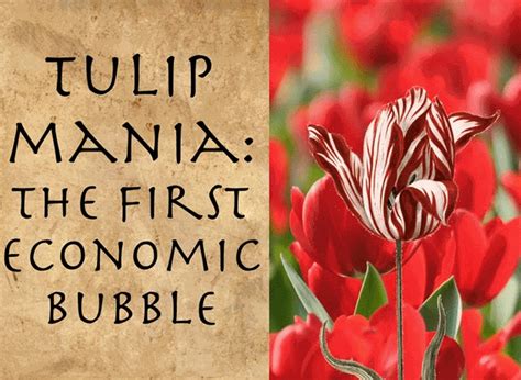 Cómo Fue La Crisis De Los Tulipanes La Primera Gran Burbuja
