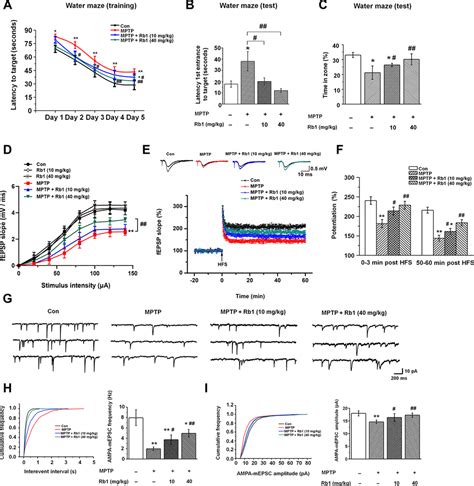 Ginsenoside Rb1 Prevents Mptp Induced Changes In Hippocampal Memory Via