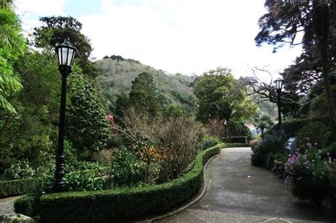 Wellington Botanic Garden Picture Of Wellington Botanic Garden