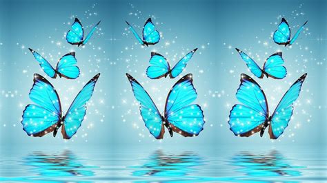 Cute Butterfly Desktop Wallpapers Top Free Cute Butterfly Desktop