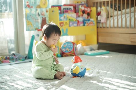9개월 아기장난감 아기랑 놀아주는 아이큐베이비 꼬꼬맘 네이버 블로그