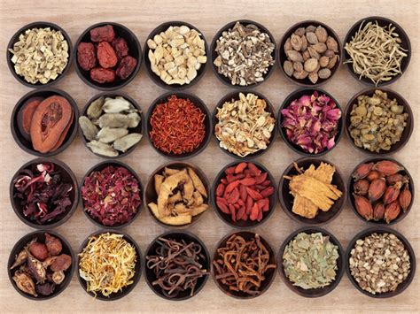 6 Effective Chinese Herbs For Hair Loss Styles At Life