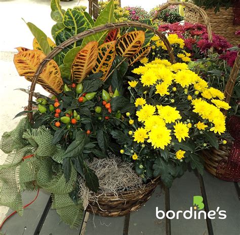 Fall In Love With Our Container Gardens Dish Garden