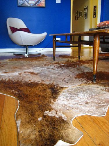 The vast majority of all contaminants (whether soil, dust, or pet hair) come out with a simple brush of a broom. Clean a Cowhide Rug | For the Home | Rug cleaning, Cow ...