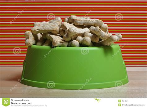 Happy Holidays Puppy Stock Photo Image Of Dogs Hungry 451452