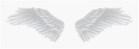 White Angel Wings Png Transparent Png Transparent Png Image PNGitem