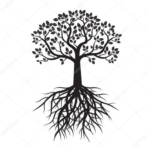 Roots Vector Free At Vectorified Com Collection Of Roots Vector Free