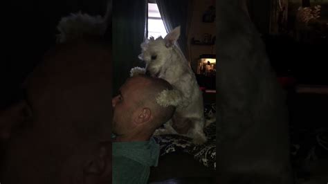 George Licking Daddy’s Head Youtube