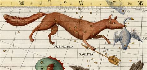 Vulpecula Constellation Myths And Facts Under The Night Sky