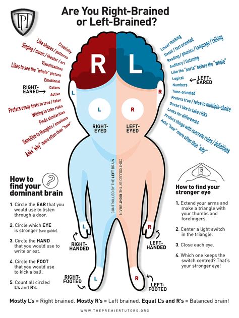 However, like all myths, this one is based on some truths: Are You Left-Brained or Right-Brained? Part I - Special 2 Me