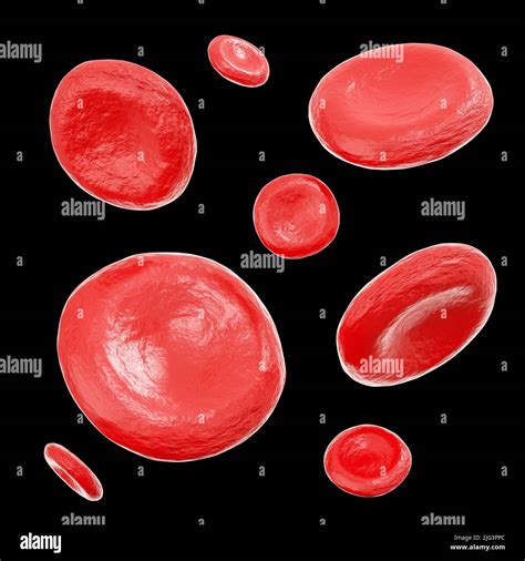 Red Blood Cells Isolated Black Background 3d Rendering Stock Photo