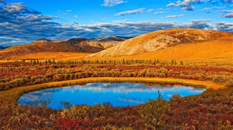 Autumn Yukon Bing Wallpaper Download