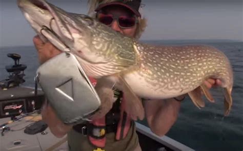 Crazy Video Trophy Pike Caught On A Lure You Have To See To Believe