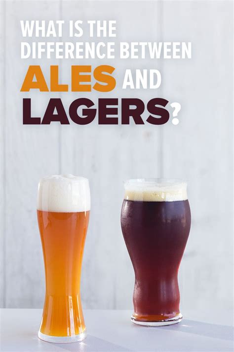 Ale Vs Lager Determining The Differences Between Both Types Of Beer