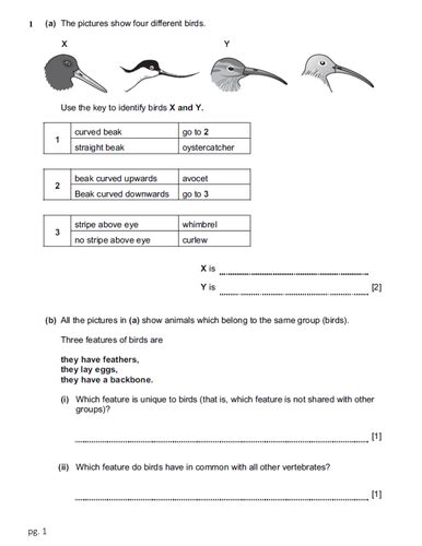 Science 2019 papers | cambridge primary checkpoint past. Cambridge Checkpoint Science Paper 2_Biology | Teaching ...